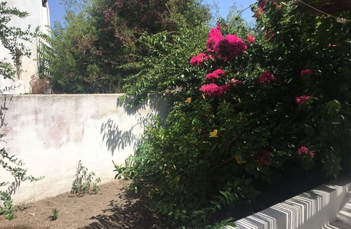 Aeolian Islands Apartment | Cottage with large garden in the center of Panarea
