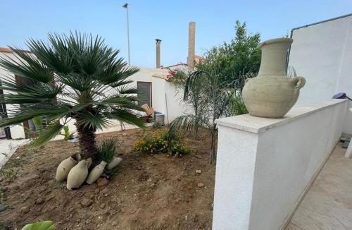 Vita House | Dai Maestri Rubino
