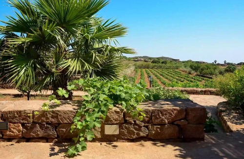 Pantelleria Apartment | Dammuso Lemon