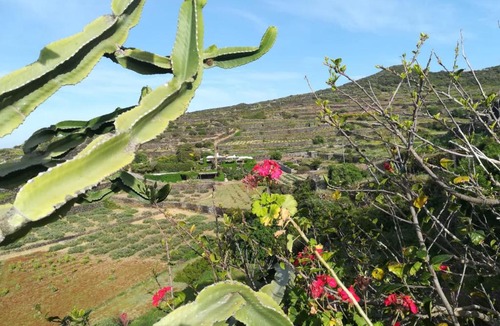 Pantelleria House | DAMMUSO NATURA