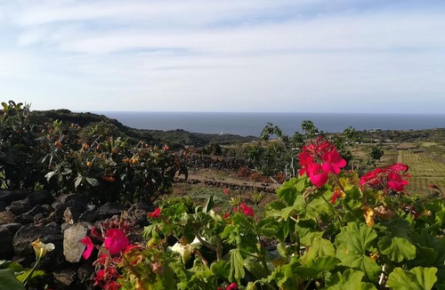 Pantelleria House | DAMMUSO NATURA