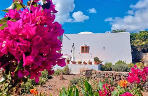 Tracino Apartment | Dammuso Pantelleria - Fiori D'Ossidiana