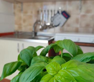 Scoglitti House | Dirò Camere