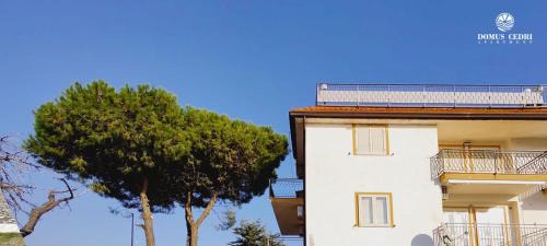 Santa Maria del Cedro Apartment | Domus Cedri Apartment