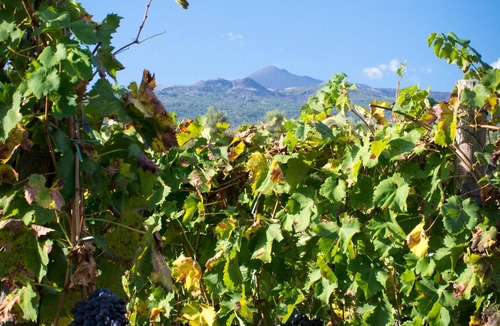 Castiglione di Sicilia Cottage | Ecorural Etna suite