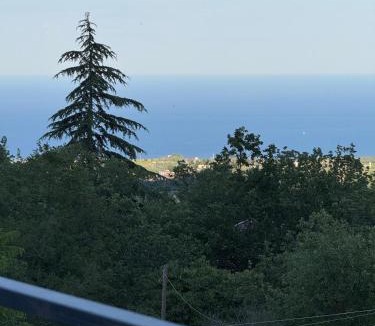 Zafferana Etnea Villa | Etna paradise villa Respa