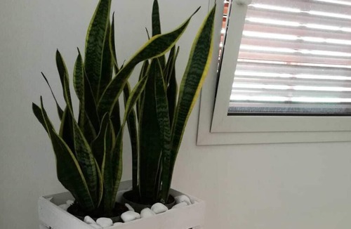 Santa Lucia Apartment | "ETNA" ROOM in SOUTH LIGHT with private bathroom and balcony with view