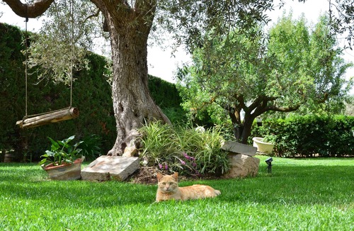 Comiso Villa | Exclusive Pool Villa - Cascina Relais