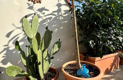 Tramonti Apartment | Fabulous Apartment in Enjoyable Tramonti on the Amalfi Coast