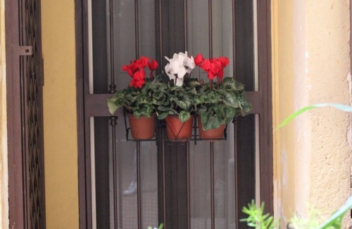 Borgo-Sanzio Apartment | GeLiRò Apartment Catania Centro - Comfort, style and perfect location