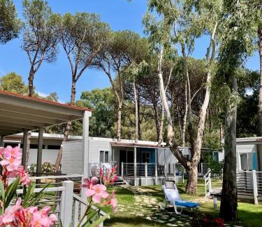 Baia Domizia Other | Höffmann Bungalowpark Baia Domizia - Village Baia Domizia