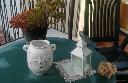 Trabia House | home of colors and flowers