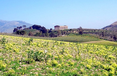 Balestrate Villa | Homerez - Beautiful villa for 6 ppl. with terrace at Balestrate