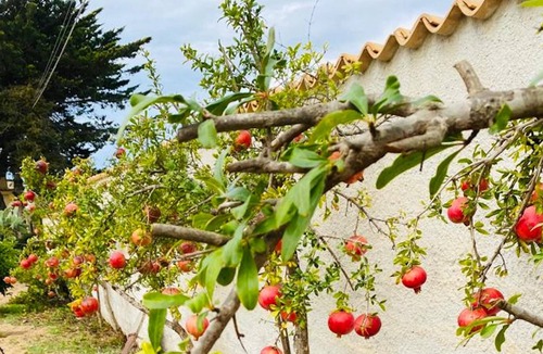 Tre Fontane House | Homerez - Spacious house near the beach and the terrace