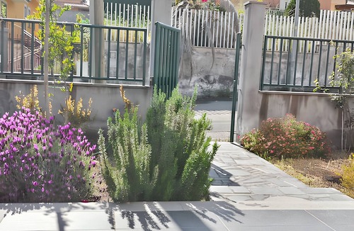 Nicolosi Apartment | Homerez - Studio in Nicolosi