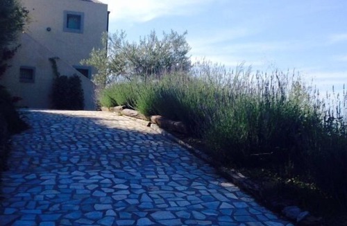Capo d'Orlando House | House with pool