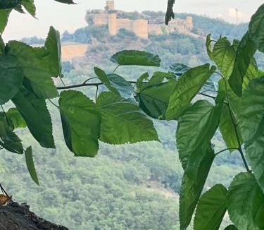 Gessopalena Bed & Breakfast | Il cucco