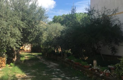 Noto Marina House | Il giardino di Petra