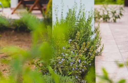 Castroreale Terme Bed & Breakfast | Il Limoneto Rooms