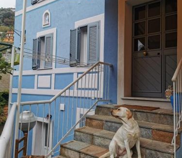 Varazze House | Itaca