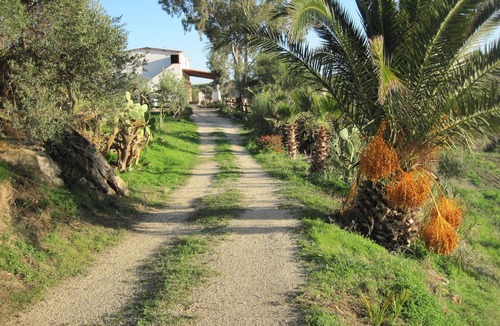 Ribera Villa | L Agave e la Palma Nana