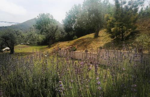 Caccamo House | L'Opuntia sul lago