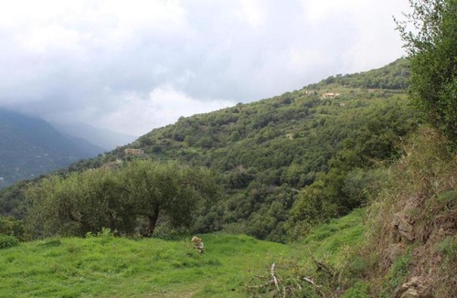 Raccuja House | La casa degli Elfi