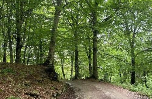 Caronia House | La casa dei nonni