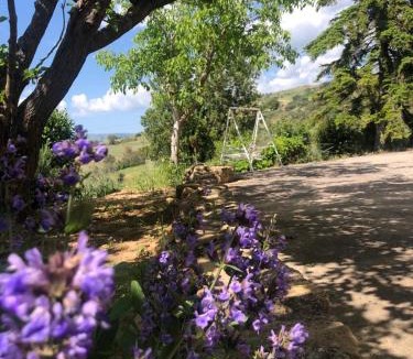 Gagliano Castelferrato Cabin | La Casa Delle Olive