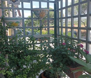 Paterno Apartment | La casa delle api