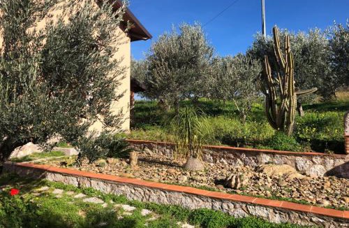 San Marco d'Alunzio House | La Casa nel Vigneto