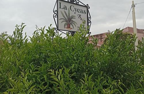 Trabia Bed & Breakfast | La Cycas