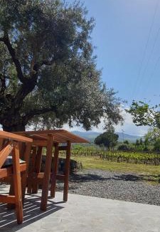 Passopisciaro Ski Chalet | La finestra sul vigneto