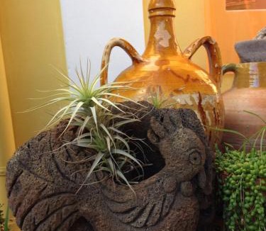Stromboli Bed & Breakfast | La Lampara