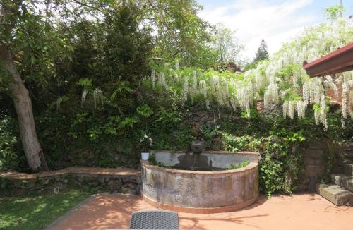 Coste House | La Perla