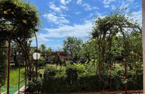 Marina Di Camerota Apartment | Lavender Apartment