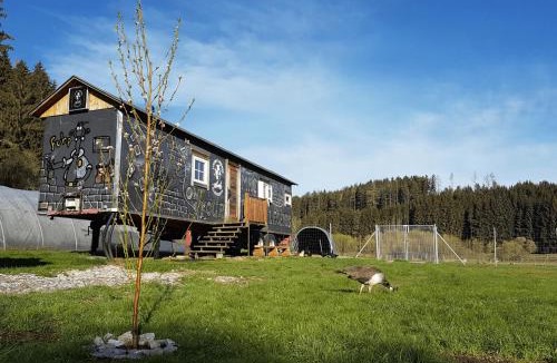 Bad Großpertholz House | Living Legends - Tiny House auf den Wiesen der Edermühle