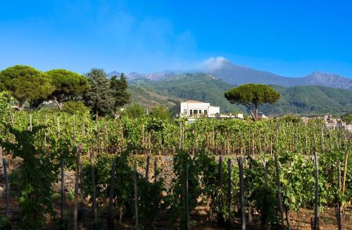 Zafferana Etnea Bed & Breakfast | Locanda Quinto Arco