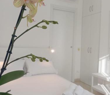 Vittoria House | Loredana Affittacamere