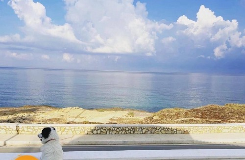 Mazara del Vallo Villa | Loving Villa on the Mediterranean - Villa on the Sea