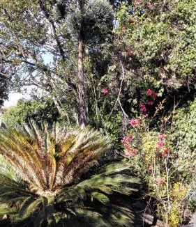 Carrubazza-Motta House | Lucrezia Garden Catania