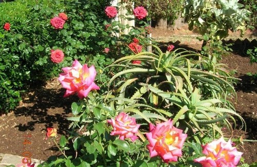 Borgo Bonsignore Villa | Luxury villa on the 1st floor with panoramic view, well kept garden and aromatic