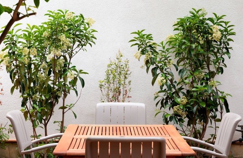Mondello Villa | MONDELLO COTTAGE LIMONE | 5 Min Beach | Garden & Parking | 6 Guests