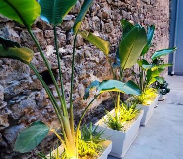 Picanello-Ognina-Barriera-Canalicchio Apartment | Morgana Luxury Apartment