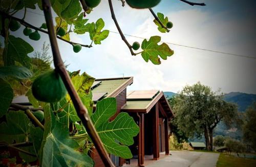 Alcara li Fusi Apartment | Nebrodi Agrivillage Bianca Sole Mia