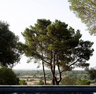 Palazzolo Acreide House | Nepita