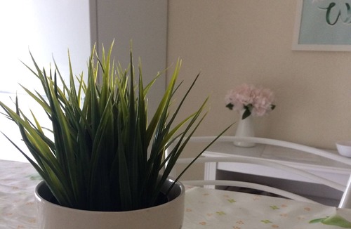 Cibali Apartment | newly renovated apartment