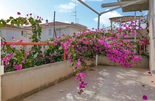 Caucana-finaiti-casuzze-finaiti Nord Apartment | Nice apartment in Kaukana with WiFi