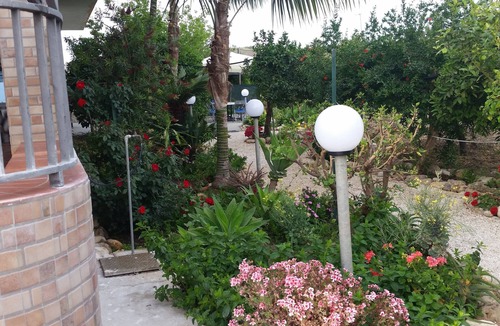 Sciacca House | Orange and lemon villa with garden and aromatic herbs.