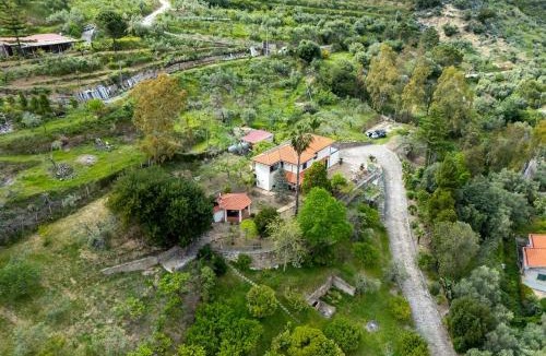 Santo Stefano di Camastra Apartment | Panoramic Villa Fiore di Limone near Cefalú